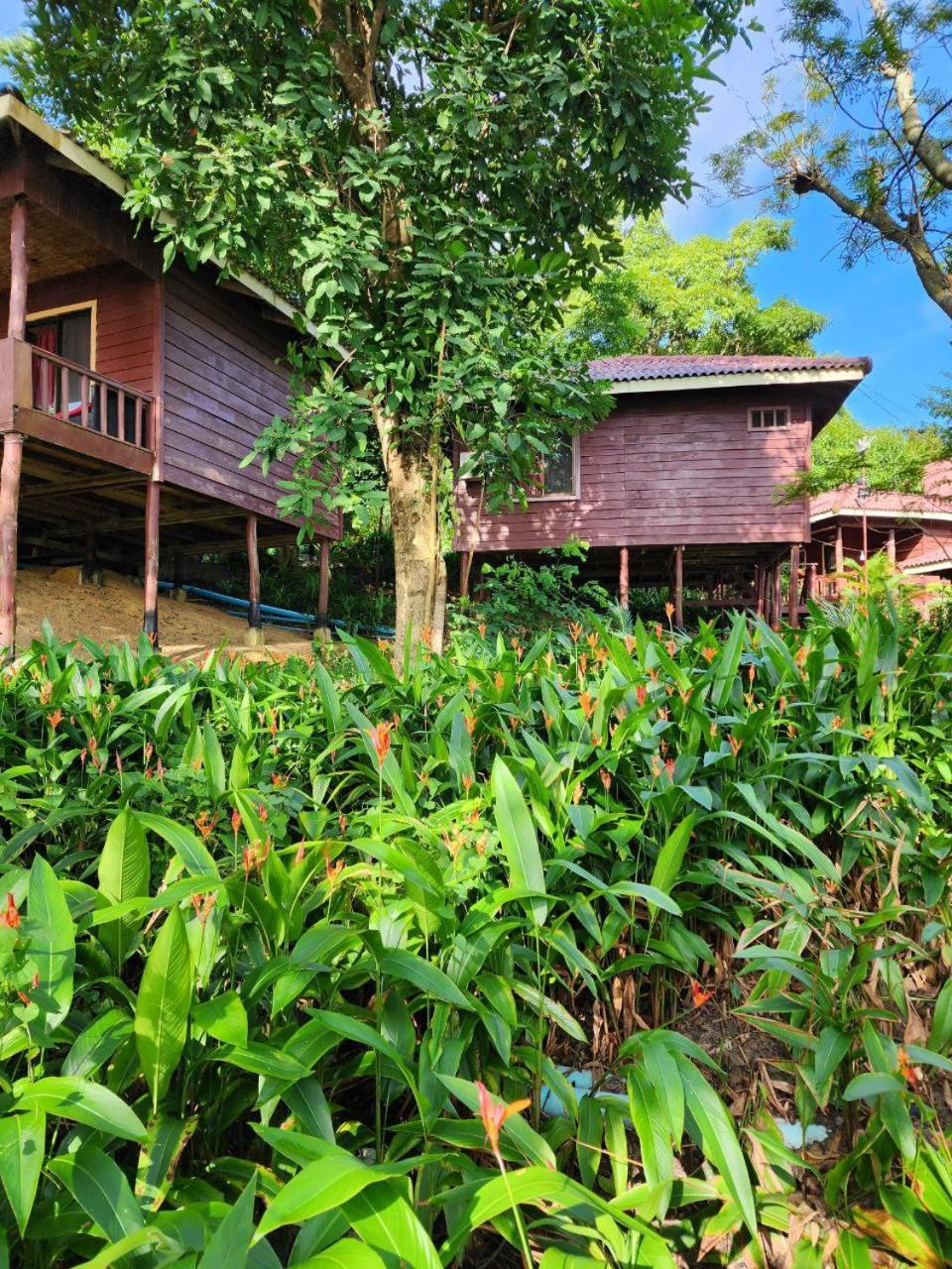 Sweet Jungle Bungalows Kaoh Touch 外观 照片
