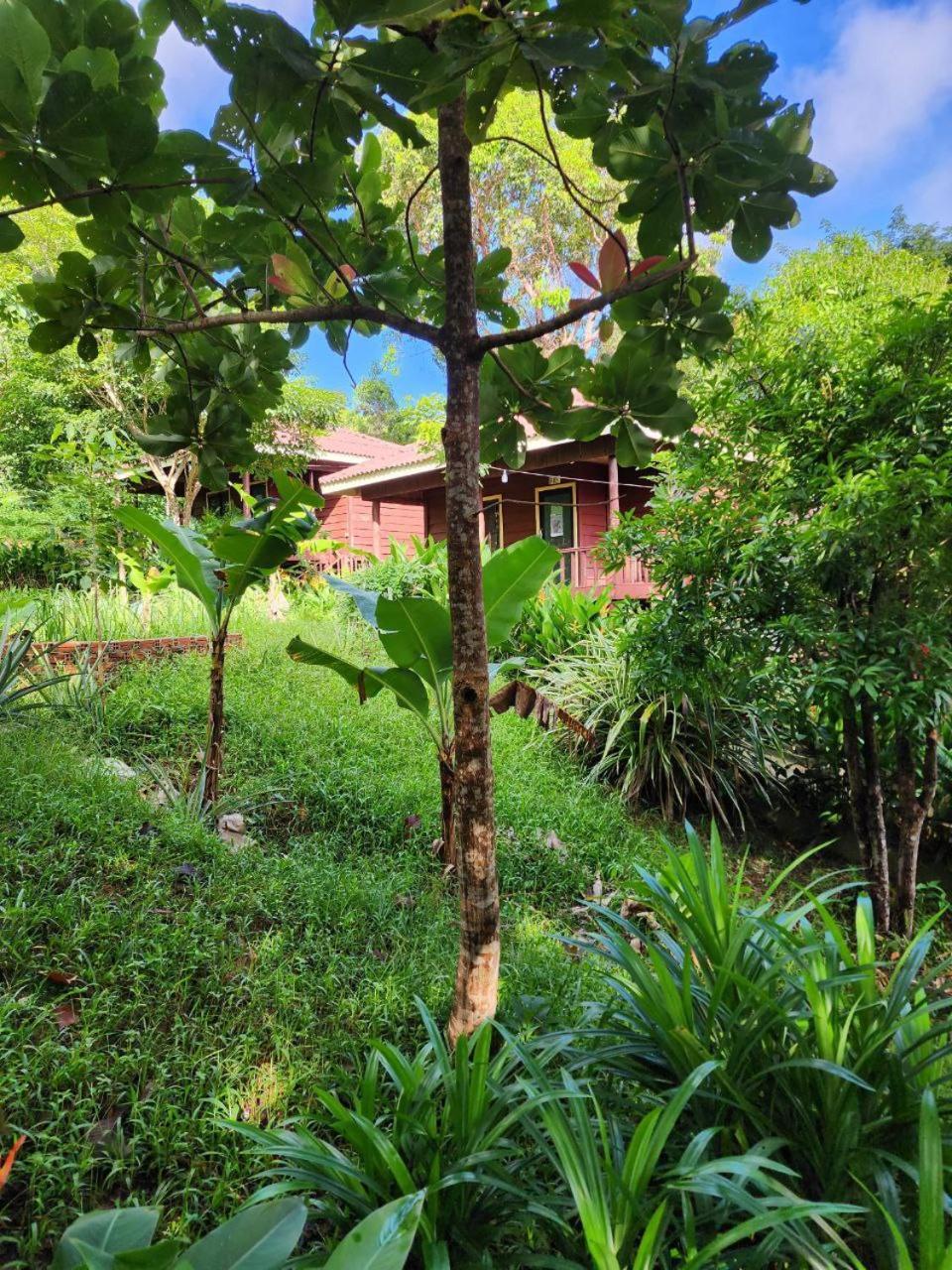 Sweet Jungle Bungalows Kaoh Touch 外观 照片